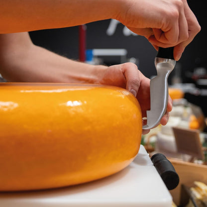 Cheese Scoring Knife Pro 90mm - Premium Quality - German Steel - 1896 Collection - for Hard Cheese Like Parmesan or Gouda - 1896 Collection