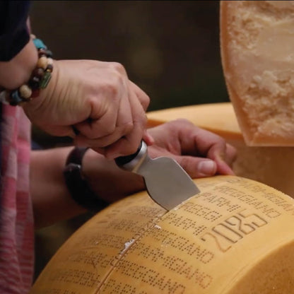 Cheese Scoring Knife Pro 90mm - Premium Quality - German Steel - 1896 Collection - for Hard Cheese Like Parmesan or Gouda - 1896 Collection