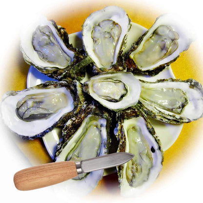 10Pcs Oyster Clam Shucking Knife Opener with Wooden Handle