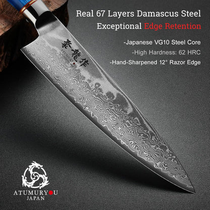 Japanese Chef Knife, 8 Inch Damascus Kitchen Knife with VG10 Steel, Ultra Sharp Professional Cooking Knives with Resin Wood Handle, Gift Box for Home & Restaurant