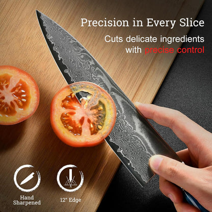 Japanese Chef Knife, 8 Inch Damascus Kitchen Knife with VG10 Steel, Ultra Sharp Professional Cooking Knives with Resin Wood Handle, Gift Box for Home & Restaurant