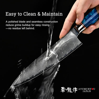 Japanese Chef Knife, 8 Inch Damascus Kitchen Knife with VG10 Steel, Ultra Sharp Professional Cooking Knives with Resin Wood Handle, Gift Box for Home & Restaurant