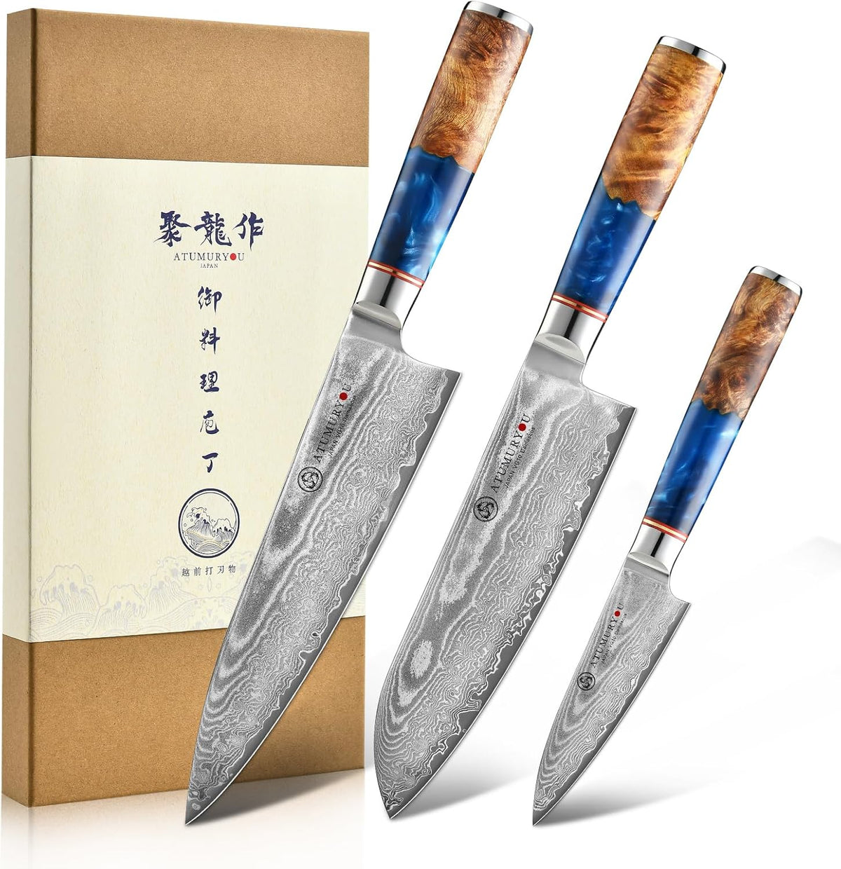 Japanese Chef Knife, 8 Inch Damascus Kitchen Knife with VG10 Steel, Ultra Sharp Professional Cooking Knives with Resin Wood Handle, Gift Box for Home & Restaurant