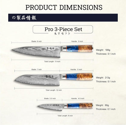Japanese Chef Knife, 8 Inch Damascus Kitchen Knife with VG10 Steel, Ultra Sharp Professional Cooking Knives with Resin Wood Handle, Gift Box for Home & Restaurant
