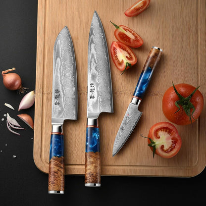 Japanese Chef Knife, 8 Inch Damascus Kitchen Knife with VG10 Steel, Ultra Sharp Professional Cooking Knives with Resin Wood Handle, Gift Box for Home & Restaurant