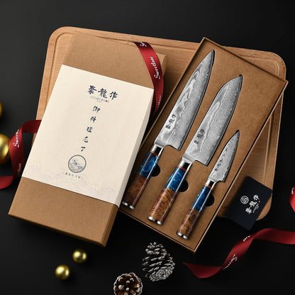 Japanese Chef Knife, 8 Inch Damascus Kitchen Knife with VG10 Steel, Ultra Sharp Professional Cooking Knives with Resin Wood Handle, Gift Box for Home & Restaurant