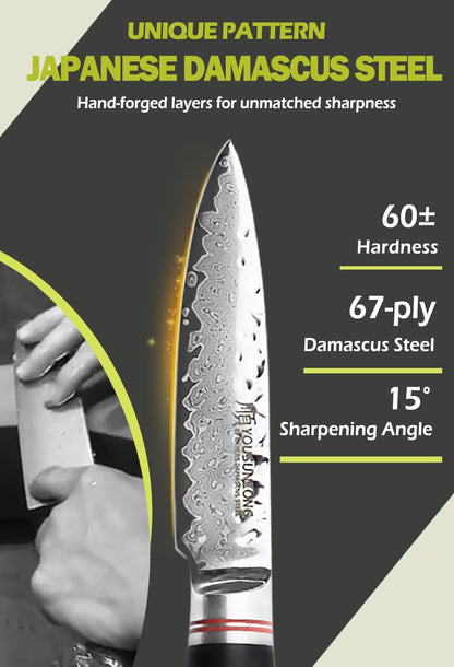 Paring Knife 3.5 inch Peeling Knives Japanese 67 Layers Hammered Damascus Steel with Natural Leadwood Handle