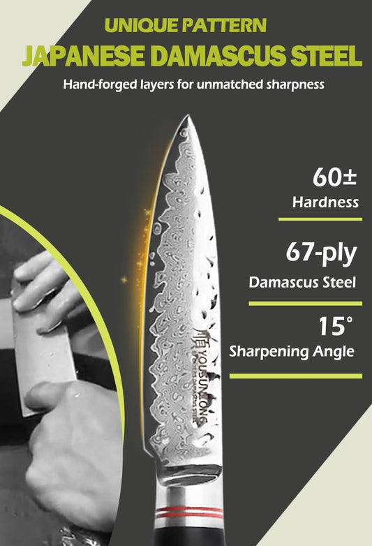 Paring Knife 3.5 inch Peeling Knives Japanese 67 Layers Hammered Damascus Steel with Natural Leadwood Handle