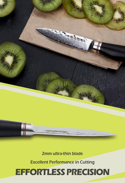 Paring Knife 3.5 inch Peeling Knives Japanese 67 Layers Hammered Damascus Steel with Natural Leadwood Handle