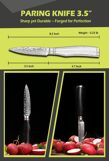 Paring Knife 3.5 inch Peeling Knives Japanese 67 Layers Hammered Damascus Steel with Natural Leadwood Handle