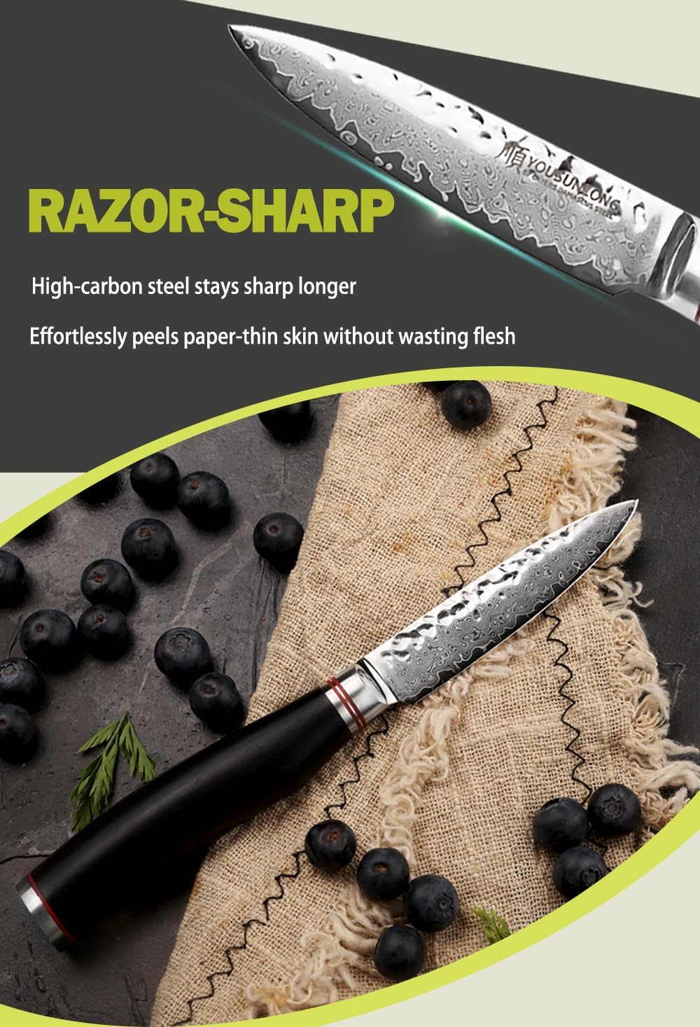 Paring Knife 3.5 inch Peeling Knives Japanese 67 Layers Hammered Damascus Steel with Natural Leadwood Handle