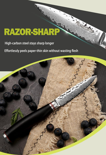 Paring Knife 3.5 inch Peeling Knives Japanese 67 Layers Hammered Damascus Steel with Natural Leadwood Handle