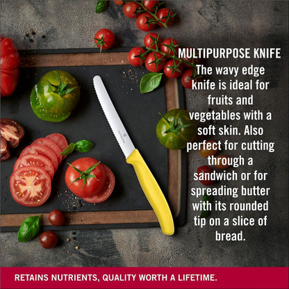 4-Inch Swiss Classic Paring Knife with Straight Blade, Spear Point, Red