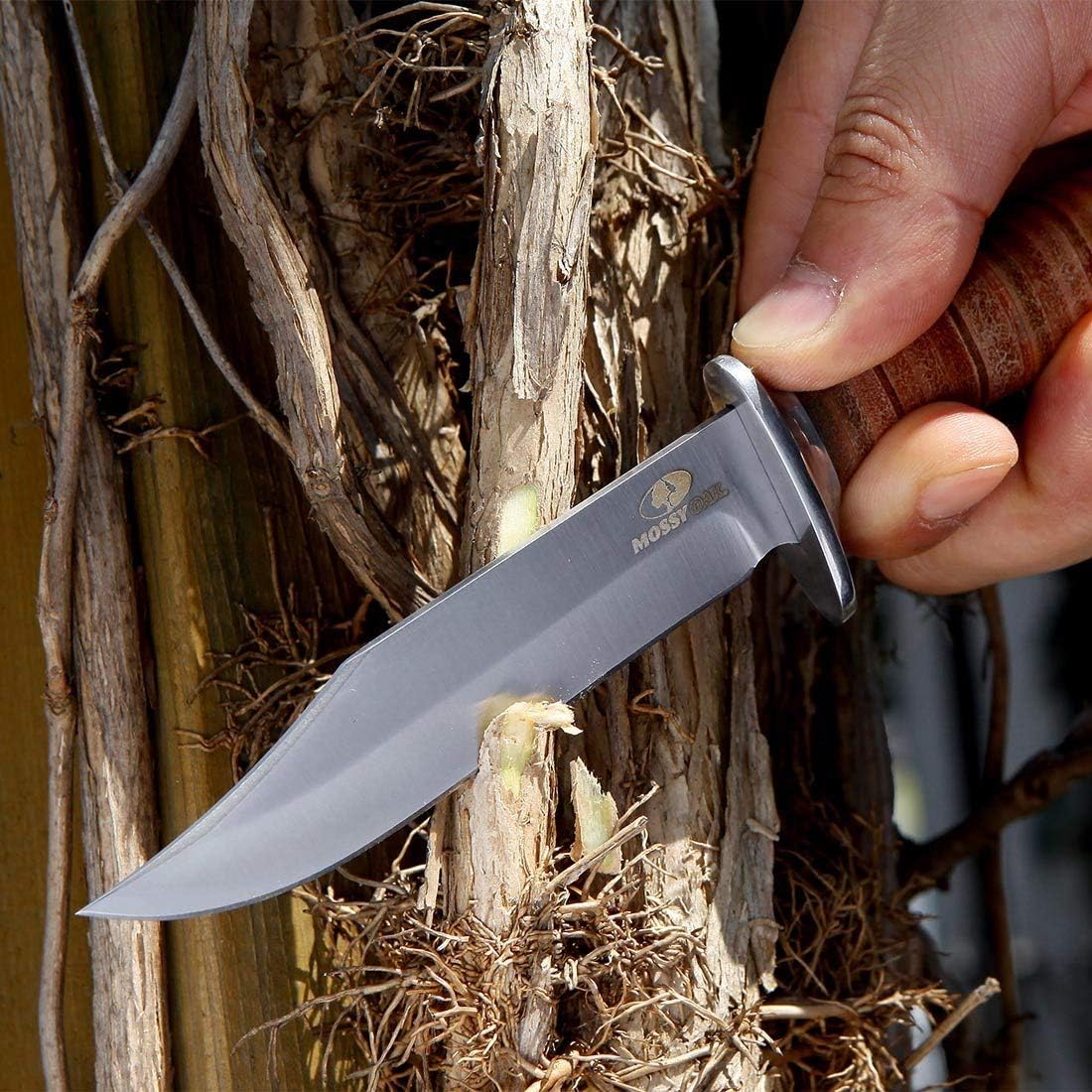 2-Piece Bowie Knife Set