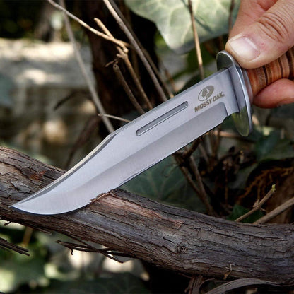 2-Piece Bowie Knife Set