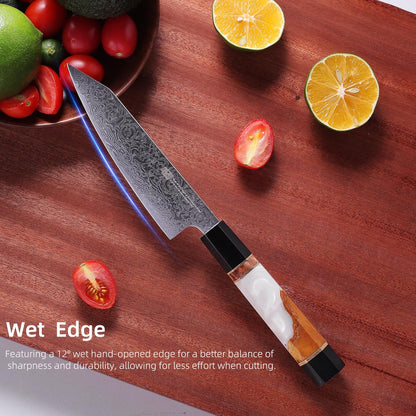 9 inch Japanese Kiritsuke Knife, Sharp Cuchillos Japoneses, Damascus Kitchen Knife for Professional & Home Chefs (BLACK-ROSE Series)