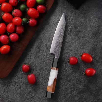 9 inch Japanese Kiritsuke Knife, Sharp Cuchillos Japoneses, Damascus Kitchen Knife for Professional & Home Chefs (BLACK-ROSE Series)