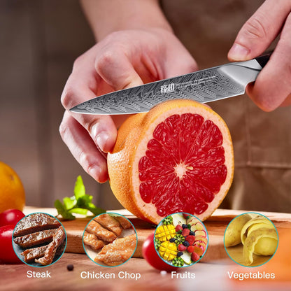 Nebula Series Chef Knife with ABS Sheath, Multipurpose Japanese Gyuto Knife, 10Cr15CoMov Damascus Steel Blade, Resin and Figured Sycamore wood Handle, Full Tang, 8 Inch, Blue, for Meat