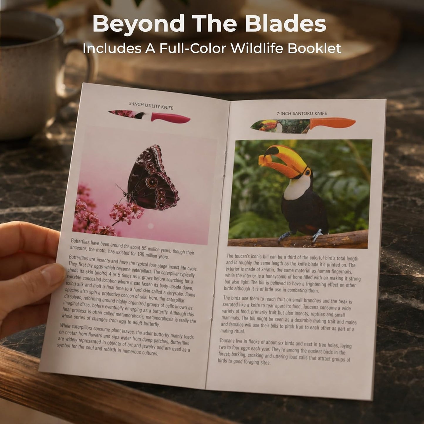 Landscape Knife Set, Six-Piece Stainless Steel Kitchen Knives | Decorative Knife Set with 6 Colorful Landscape Designs, A Unique Cooking Gift for Nature Lovers, Home Cooks, Bakers and Chefs