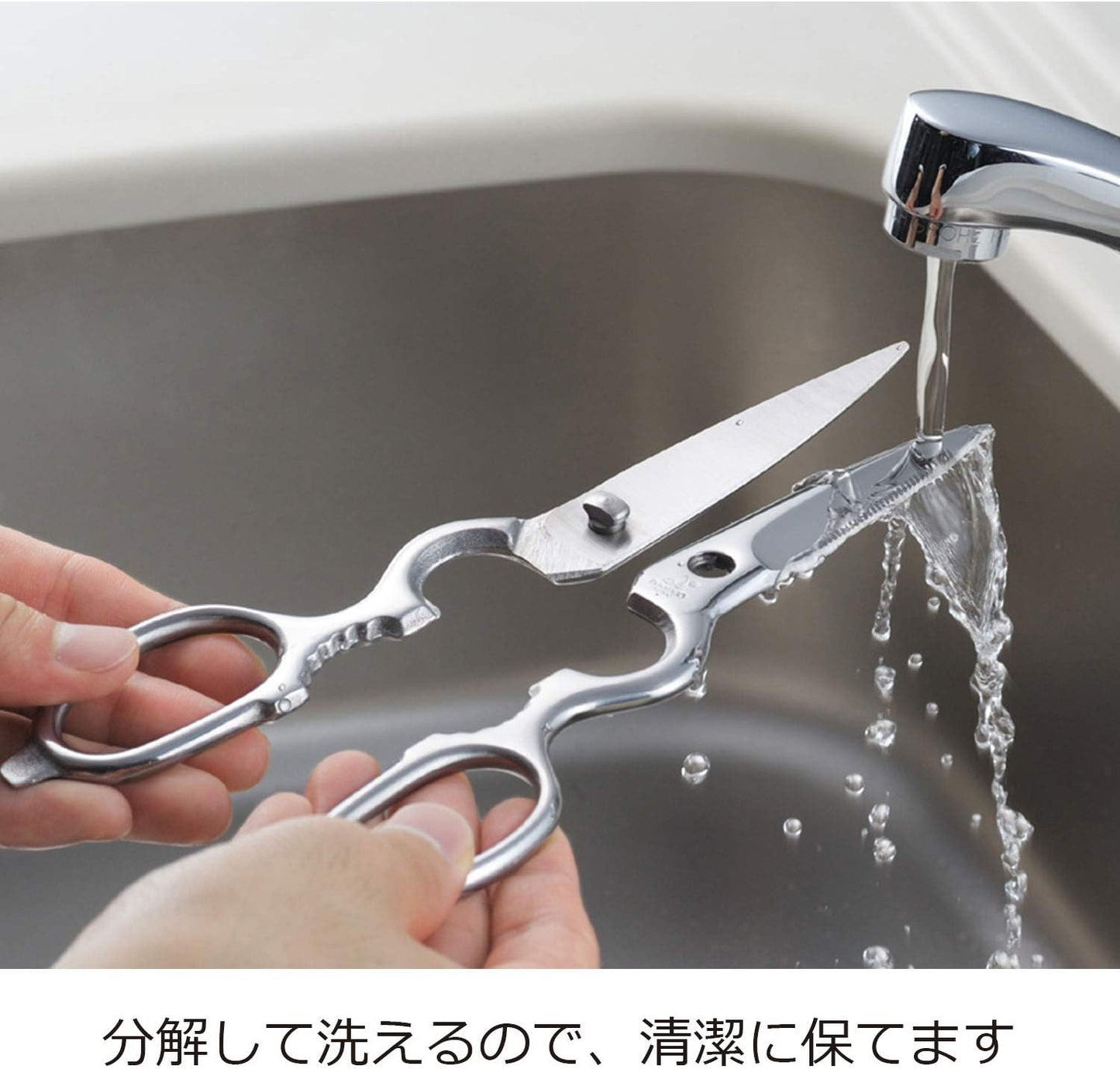 Oaks Kitchen Scissors, Disassemble and Washable, Stainless Steel, Made in Japan