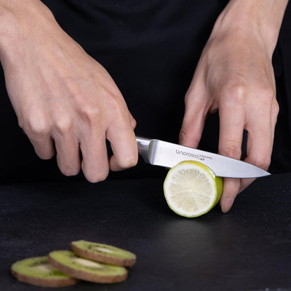Paring Knife 3.5 inch Small Kitchen Knife with Premium Gift Box, German Carbon Stainless Steel Fruit Knife, Ultra Sharp Knife for Cutting and Peeling, Gifts for Women and Men