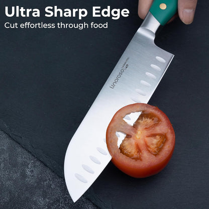Paring Knife 3.5 inch Small Kitchen Knife with Premium Gift Box, German Carbon Stainless Steel Fruit Knife, Ultra Sharp Knife for Cutting and Peeling, Gifts for Women and Men