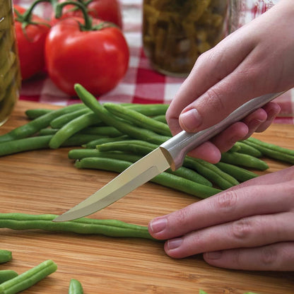 Heavy Duty Paring Knife (R103), Silver