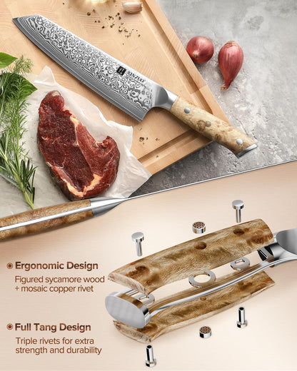 Damascus 8.3 Inch Kiritsuke Chef Knife,Hand Forged High Carbon Steel Sharp Kitchen Cutting Knife,Comfortable Ergonomic Full Tang Figured Sycamore Wood Handle