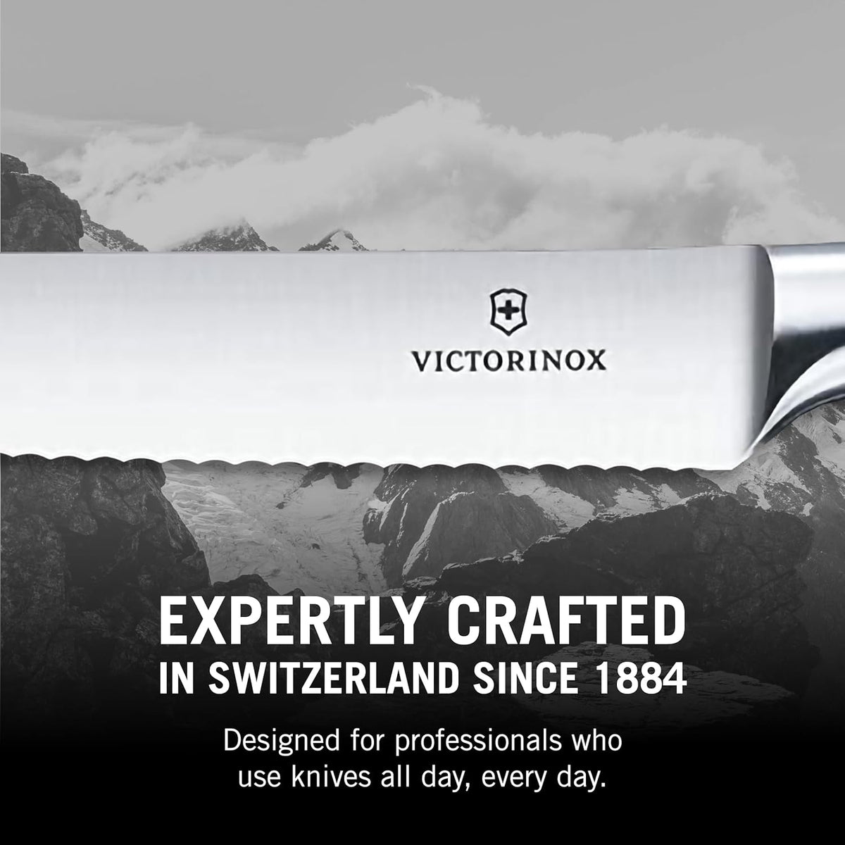 Grand Maitre Steak Knives - Premium Meat Knives with Ergonomic Handle - Modern Kitchen Accessories - Black Handle, Serrated Edge, 2-Piece Set
