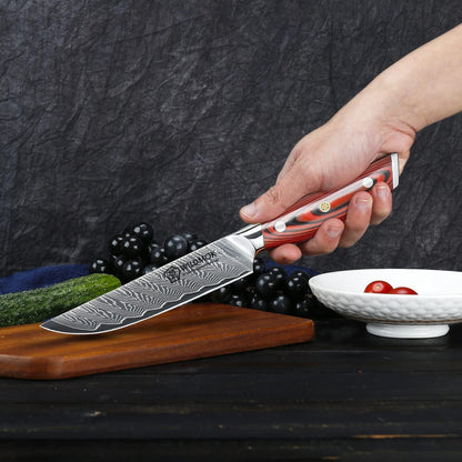 5 Inch Damascus Steak Knives Set, 4pcs Sharp Professional Steak Kitchen Knives, Japanese Super VG10 Steel Multifunction Kitchen Knife with Full Tang G10 Handle