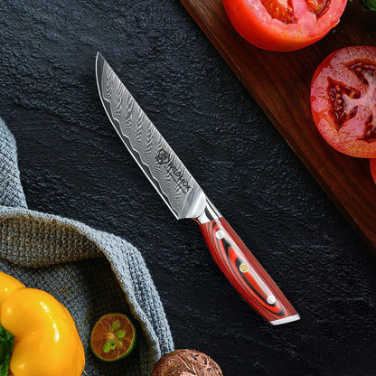 5 Inch Damascus Steak Knives Set, 4pcs Sharp Professional Steak Kitchen Knives, Japanese Super VG10 Steel Multifunction Kitchen Knife with Full Tang G10 Handle