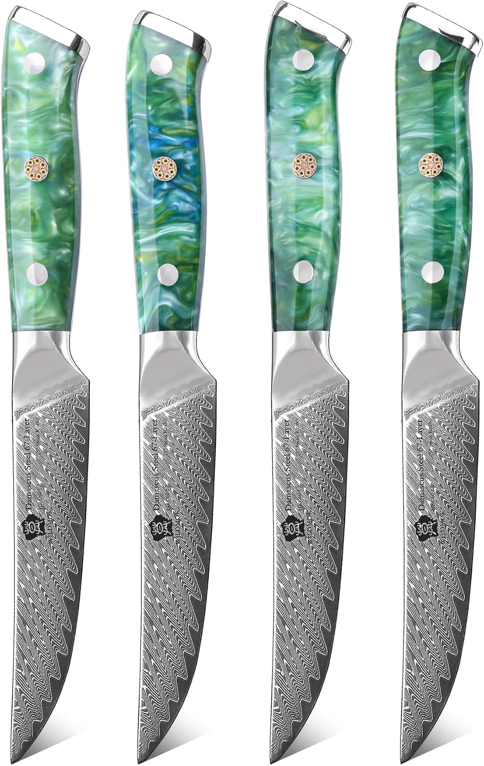 5 Inch Damascus Steak Knives Set, 4pcs Sharp Professional Steak Kitchen Knives, Japanese Super VG10 Steel Multifunction Kitchen Knife with Full Tang G10 Handle