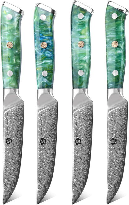 5 Inch Damascus Steak Knives Set, 4pcs Sharp Professional Steak Kitchen Knives, Japanese Super VG10 Steel Multifunction Kitchen Knife with Full Tang G10 Handle