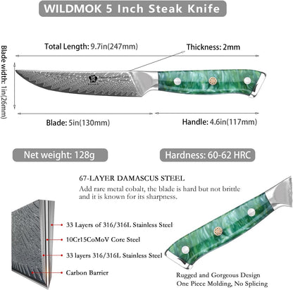 5 Inch Damascus Steak Knives Set, 4pcs Sharp Professional Steak Kitchen Knives, Japanese Super VG10 Steel Multifunction Kitchen Knife with Full Tang G10 Handle