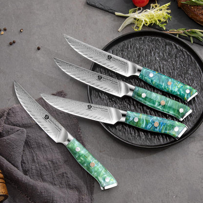 5 Inch Damascus Steak Knives Set, 4pcs Sharp Professional Steak Kitchen Knives, Japanese Super VG10 Steel Multifunction Kitchen Knife with Full Tang G10 Handle