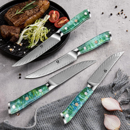 5 Inch Damascus Steak Knives Set, 4pcs Sharp Professional Steak Kitchen Knives, Japanese Super VG10 Steel Multifunction Kitchen Knife with Full Tang G10 Handle