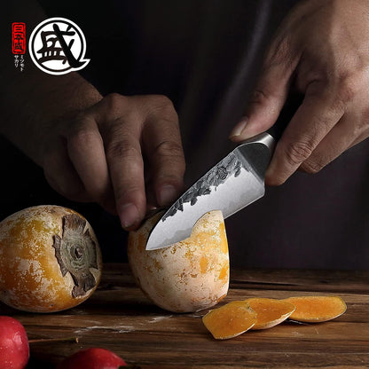 4.5-Inch Japanese Paring Knife, SKD-11 Steel