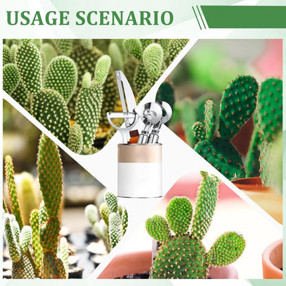 4 Pcs Cactus Peeler Tools Set, Peeler Spoon, Stainless Steel Cactus Paring Knife Long Handle with Hole Slicing Noodle Cutter for Kitchen Cooking, Cuchara Multi-function Pelador De Nopales
