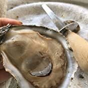 Original Chesapeake Bay Oyster Knife - Shucking Clam/Shellfish Opener - Stainless Steel - Seafood Knife