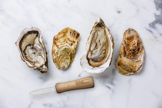 Dexter-Russell 2.75-inch Oyster Knife, New Haven pattern, Metallic