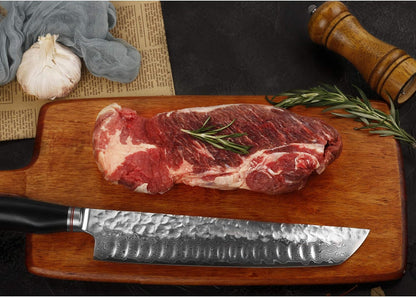 Kiritsuke Chef Knife 10 Inch Japanese Danascus Steel Razor Sharp - Natural Leadwood Handle with Leather Sheath