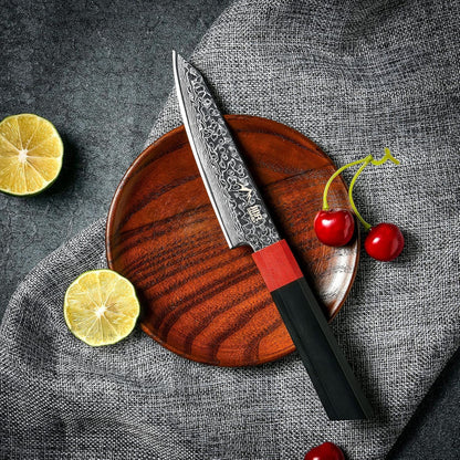 Kiritsuke Chef Knife 8.5 Inch, Japanese Damascus Knife 67-Layer Steel with G10 Handle - Sharp VG-10 High Carbon Stainless Steel for Home and Kitchen