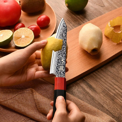 Kiritsuke Chef Knife 8.5 Inch, Japanese Damascus Knife 67-Layer Steel with G10 Handle - Sharp VG-10 High Carbon Stainless Steel for Home and Kitchen