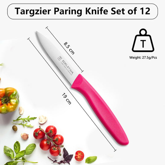 Paring and Garnishing Knife,Fruit Knife Set,12 Pieces Stainless Steel Paring Knives,Straight Edge Small Knife Set for Cutting Fruits and Vegetable,Spear Point,Ergonomic Handle,Multicolor