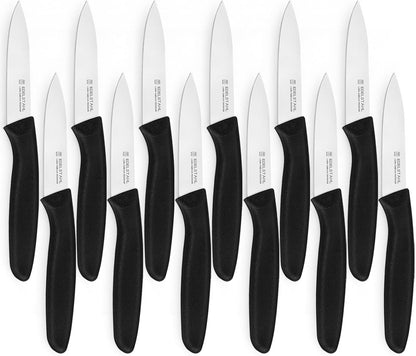 Paring and Garnishing Knife,Fruit Knife Set,12 Pieces Stainless Steel Paring Knives,Straight Edge Small Knife Set for Cutting Fruits and Vegetable,Spear Point,Ergonomic Handle,Multicolor
