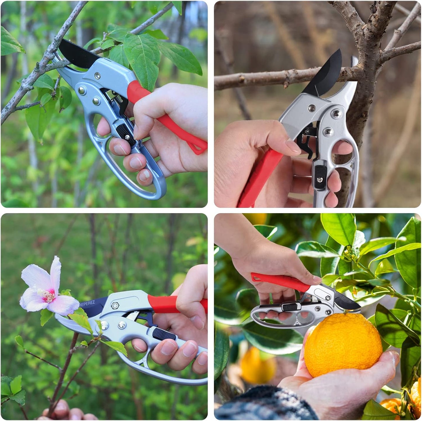 Premium Germany - Steel Pruning Shears, Work 3 Times Easier, Pruners Heady Duty, Sharp Garden Clippers Cuting Florist Flower, Hedge, Herb, Rose, Indoor Live Plants, Arthritis Weak Hand Snips