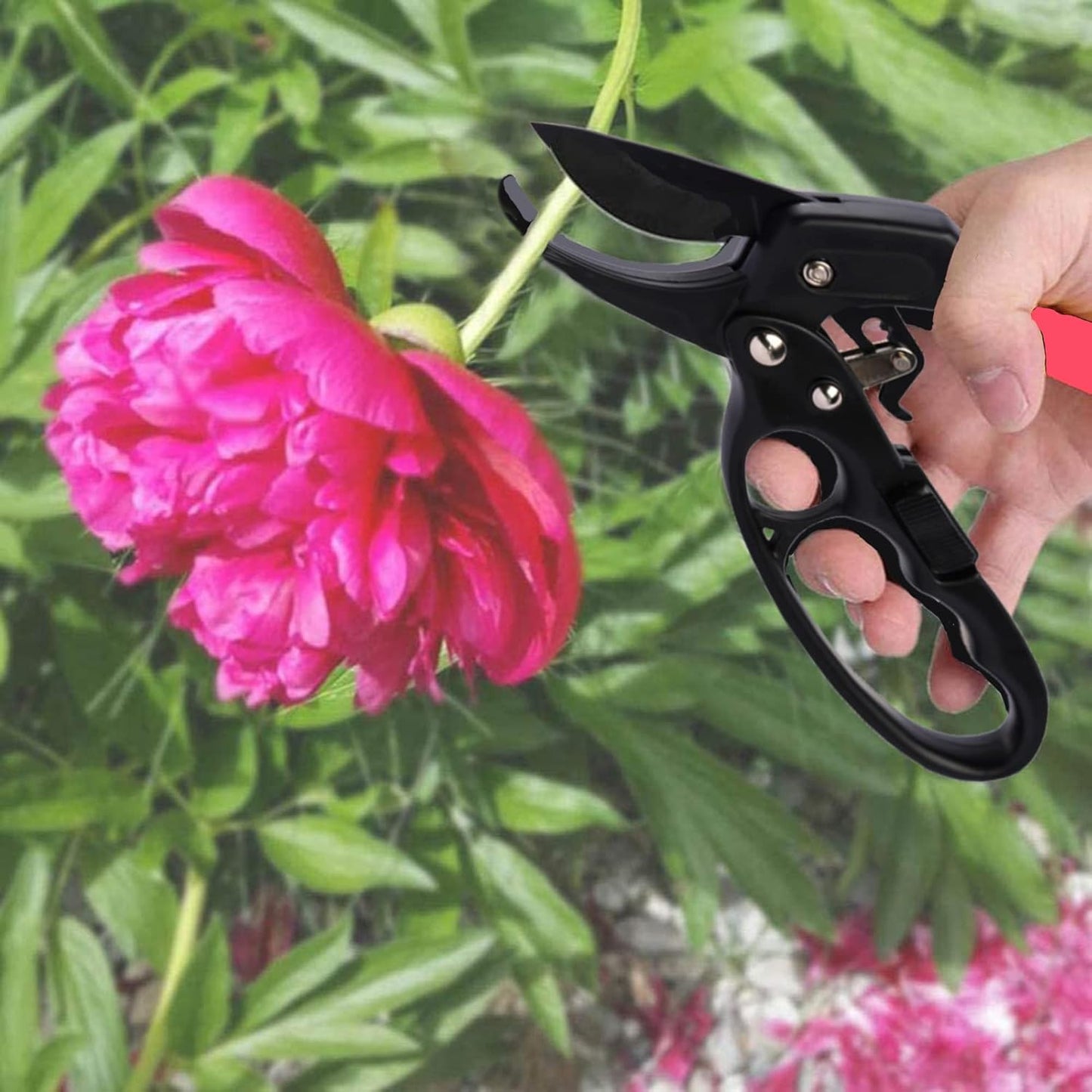Premium Germany - Steel Pruning Shears, Work 3 Times Easier, Pruners Heady Duty, Sharp Garden Clippers Cuting Florist Flower, Hedge, Herb, Rose, Indoor Live Plants, Arthritis Weak Hand Snips