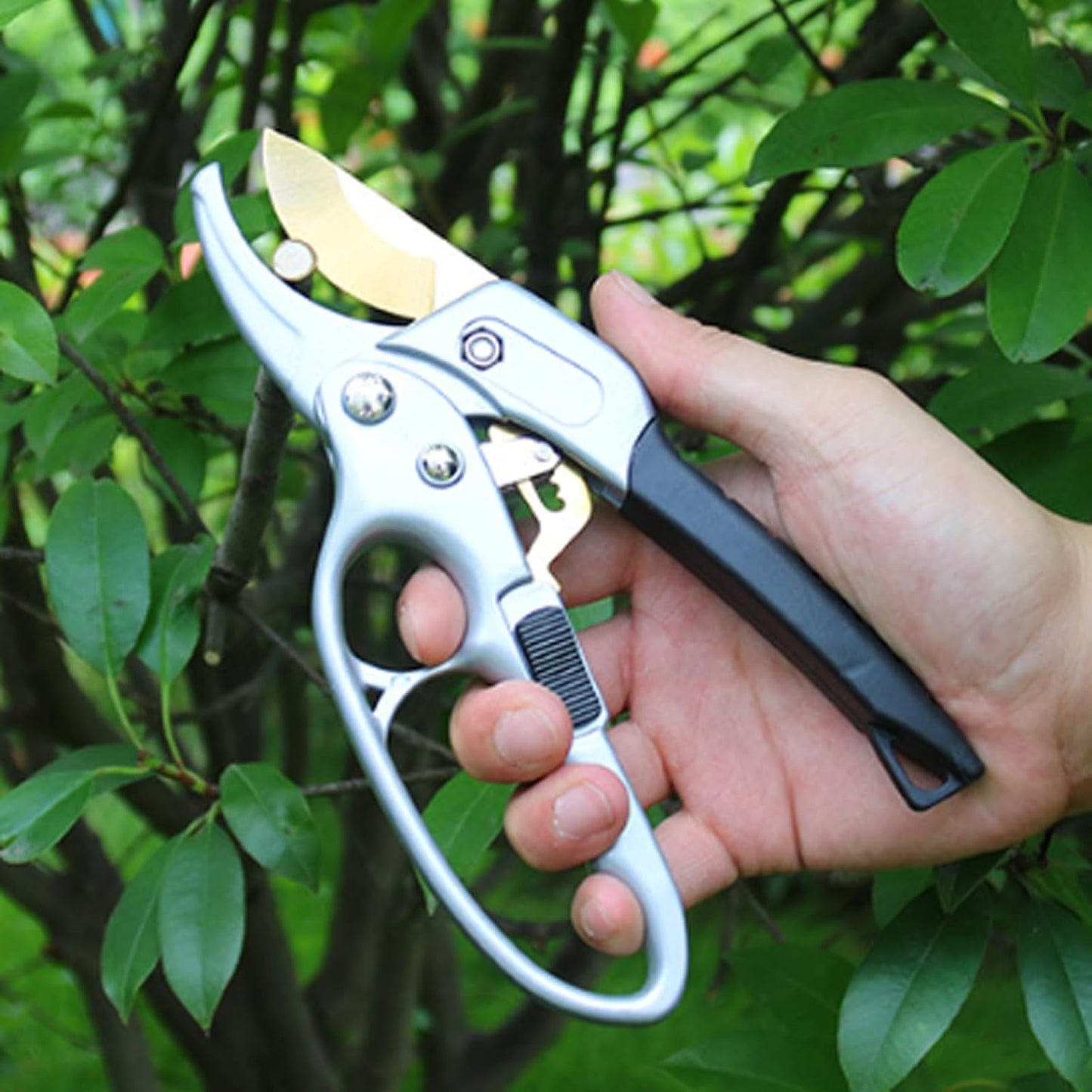 Premium Germany - Steel Pruning Shears, Work 3 Times Easier, Pruners Heady Duty, Sharp Garden Clippers Cuting Florist Flower, Hedge, Herb, Rose, Indoor Live Plants, Arthritis Weak Hand Snips