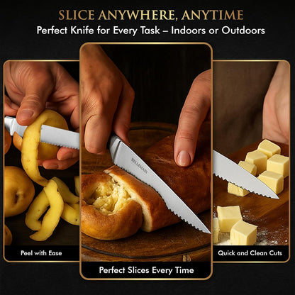 Steak Knife Set of 8, Serrated Stainless Steel, Dishwasher Safe