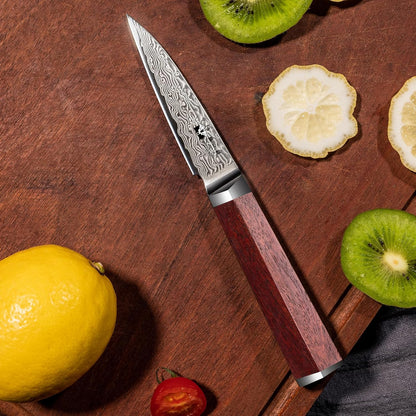 Damascus Paring Knife 3.5-inch Fruit and Vegetable Paring Knife 67-Layer Damascus with VG10 Cutting Core Peeling Knife with Full Tang Ergonomic Natural Wood Handle for Peeling